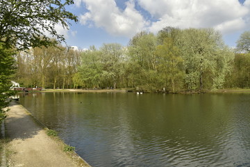 L'étang et le bois du parc Malou de Woluwe-St-Lambert au printemps