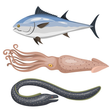 Set of different types of sea animals illustration tropical character wildlife marine aquatic fish