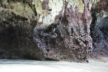 Karst Rock Formations and Seashells in Philippines