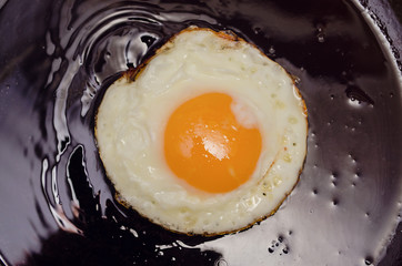 Egg oil