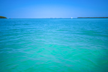 Fototapeta na wymiar Florida Keys island landscpe