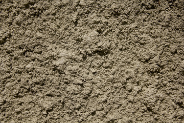 Grey grunge textured wall. Copy space