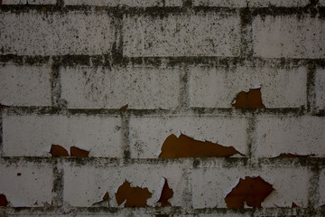 Old brick wall background. Grunge texture.