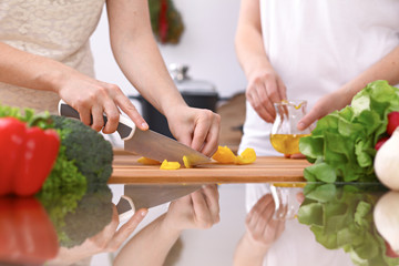 Closeup of two women are cooking in a kitchen. Friends having fun while preparing fresh salad