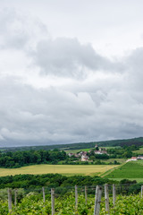 Campagne bourguignone