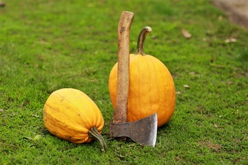 Two yellow pumpkins with an axe lying on the green grass in the garden