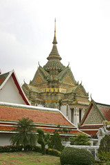 Fototapeta premium 138923.JPG