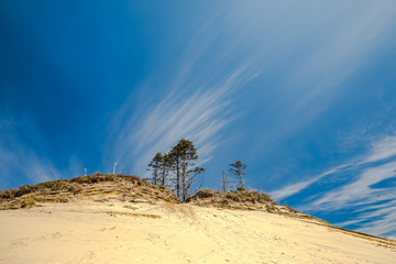 wispy white clouds over a sandhill