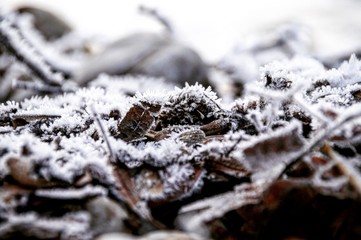 Ice crystals