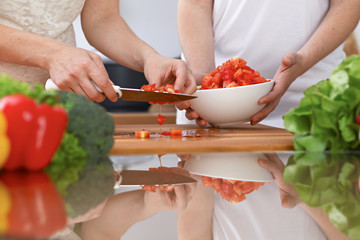 Closeup of two women are cooking in a kitchen. Friends having fun while preparing fresh salad