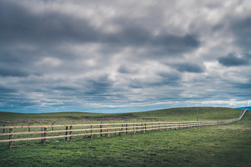 Wooden fence in irish countryside