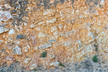 Conglomerate that make up the Hottentots-Holland mountainside