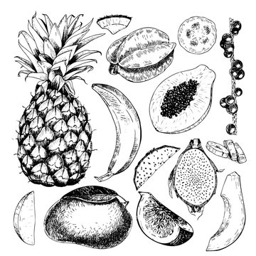 Vector hand drawn exotic fruits. Engraved smoothie bowl ingredients. Tropical sweet food. Pineapple, papaya, fig, mango, banana, acai, pitaya, coconut