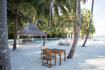 Under the Palms, Maldives