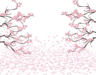 Branches of a blossoming pink cherry on both sides of the picture. Sakura. The petals fly in the wind and lie on the ground. Isolated on white background. illustration