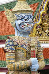 Fototapeta premium 138527.JPG