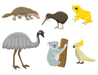 Australia wild animals cartoon popular nature characters flat style mammal collection vector illustration.