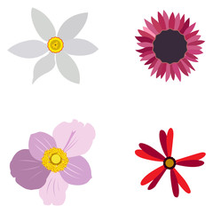 Set of colored flowers on a white background, Vector illustration