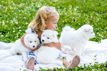 happy little girl playing with Samoyed puppy