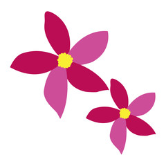 Isolated pair of colored flowers on a white background, Vector illustration