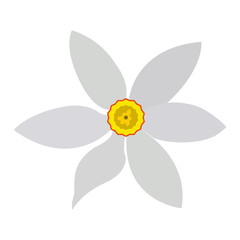 Isolated colored flower on a white background, Vector illustration