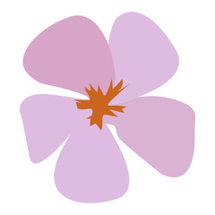 Isolated colored flower on a white background, Vector illustration