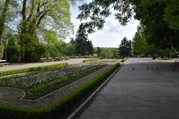  City park