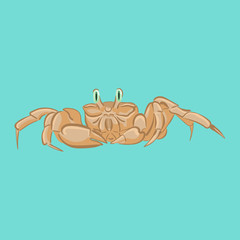 Vector crab
