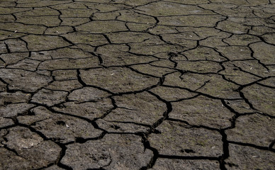 The dry earth and factory