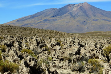 Deserto boliviano