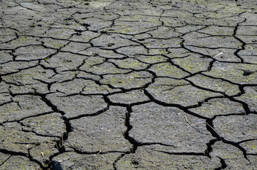 The dry earth and factory