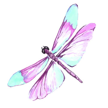 Watercolor Color Dragonfly Drawing