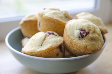 Cranberry Muffins