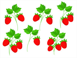 Cartoon berries