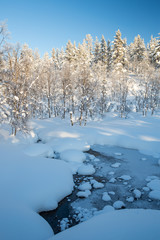 Winter landscape in Urho Kekkonen National Park, Finland.