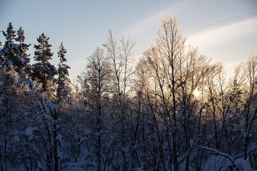 Winter landscape in Urho Kekkonen National Park, Finland.