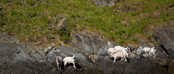 Landscape near Flam, Norway.