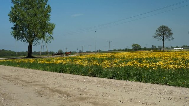 rolnik i koń