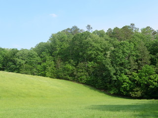 Grass Hill