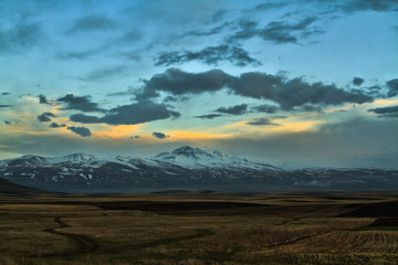 Fototapeta premium Field