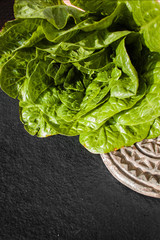 Green romaine lettuce – source of vitamins