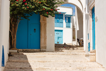 The gray cat sleeping on mats in front of the house in Sidi Bou Said, Tunisia