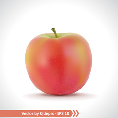 Realistic Illustration of A Red Apple
