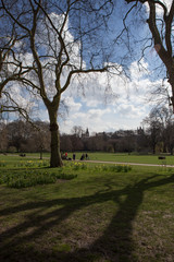 Obraz premium London Park