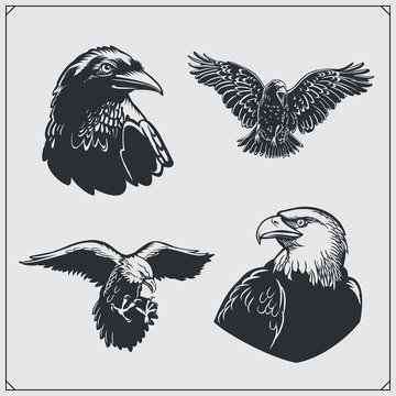 Set of birds. Ravens and eagles.