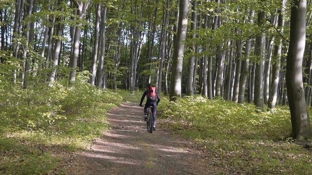 Young backpacked sports man riding bicycle on the tree forest road, spring sundown, back shot, 120FPS slowmotion