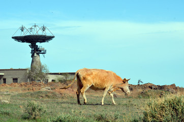 Area 35.(Ploshadka 35 ru.)Sary Shagan.Former Soviet  anti-ballistic missile testing...