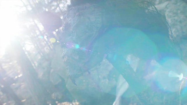 Dead man head on a pike