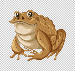 Toad with brown skin