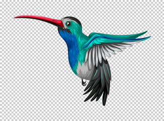 Hummingbird flying on transparent background